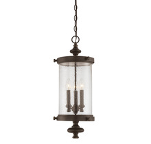  5-1222-40 - Palmer 3-Light Outdoor Hanging Lantern in Walnut Patina