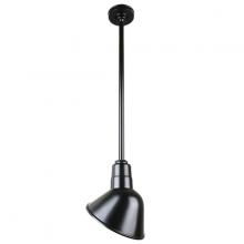  H-QSN18110-SA-91/QSN36ST3-91/QSNHSC-91 - 10" Ceiling Stem Light