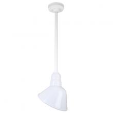  H-QSN18110-SA-93/QSN24ST3-93/QSNHSC-93 - 10" Ceiling Stem Light