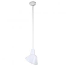  H-QSN18110-SA-93/QSN36ST3-93/QSNHSC-93 - 10" Ceiling Stem Light