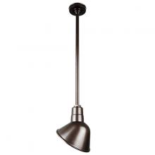  H-QSN18110-SA-145/QSN36ST3-145/QSNHSC-145 - 10" Ceiling Stem Light