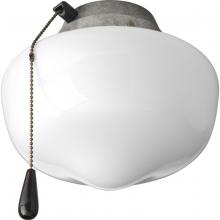  P2601-141WB - AirPro Collection One-Light Ceiling Fan Light