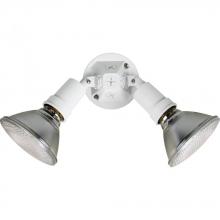  P5212-30 - Two-Light Adjustable Swivel Flood Light