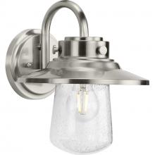  P560263-135 - Tremont Collection One-Light Stainless Steel and Clear Seeded Glass Farmhouse Style Medium Outdoor W