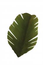  901K02 - Banana Leaf 2-Lt Sconce