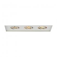  MT-316TL-WT - Low Voltage Multiple Invisible Two Light Trim