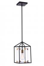  P985FBSB1 - Aaron 1 Light Acrylic Pendant in Flat Black/Satin Brass