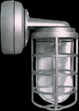  VXBR2F42-3/4 - Vaporproof, 3200 lumens, CFL Bracket 42W Qt 3/4, with Glass globe, cast guard