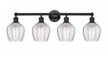  616-4W-BK-G462-6 - Norfolk - 4 Light - 33 inch - Matte Black - Bath Vanity Light