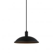  C81901MB - FARMLEY Pendants