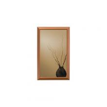  625N244COC - Specialty, Recessed, 25-1/2 in.W x 14 in.H, Locking,Copper Frame, Flat Mirrored Door.