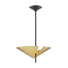  9711-AGB/BK - 2 LIGHT PENDANT