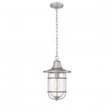  2932-GA - 1-Light Outdoor Hanging Lantern Galvanized