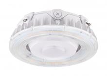  65/625 - LED Canopy Fixture; 40 Watt; CCT Selectable; White Finish; 100-277 Volt