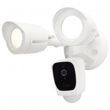 Security Lights