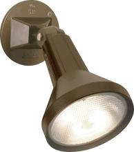  SF77/494 - 1 Light - 8" Flood Light PAR38 with Adjustable Swivel - Dark Bronze Finish