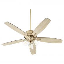 Ceiling Fans with Light