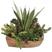  60119 - Uttermost Salar Succulents In Teak Bowl