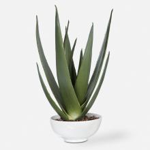  60177 - Uttermost Evarado Aloe Planter