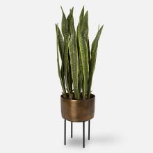  60185 - Uttermost Fasita Brass Planter 2 Cartons