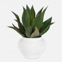  60235 - Uttermost Tierra Agave Centerpiece With Vase